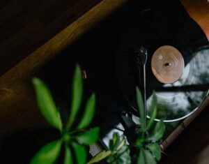 vinyl record playing on a turntable